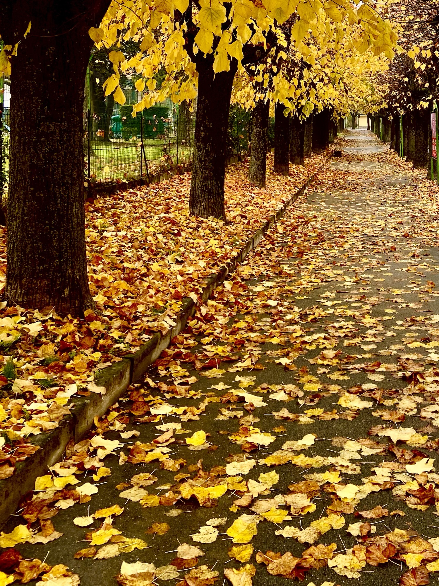 Equinozio d’autunno